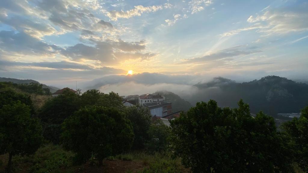 Altissima Guesthouse Penacova Bagian luar foto